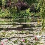Monet’s Gardens – If you are a flower lover don't miss this place.