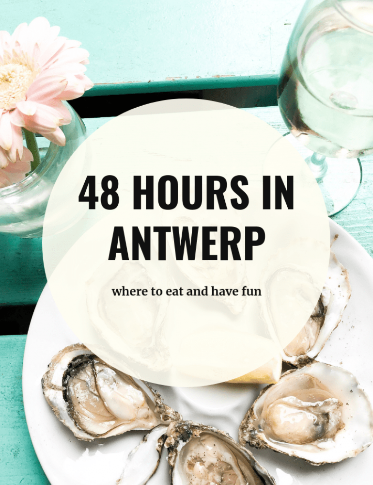 antwerp travel guide