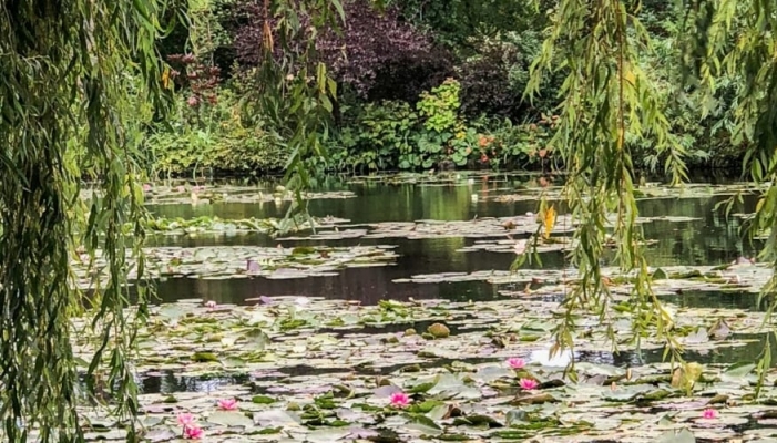 Monet’s Gardens – If you are a flower lover don’t miss this place.