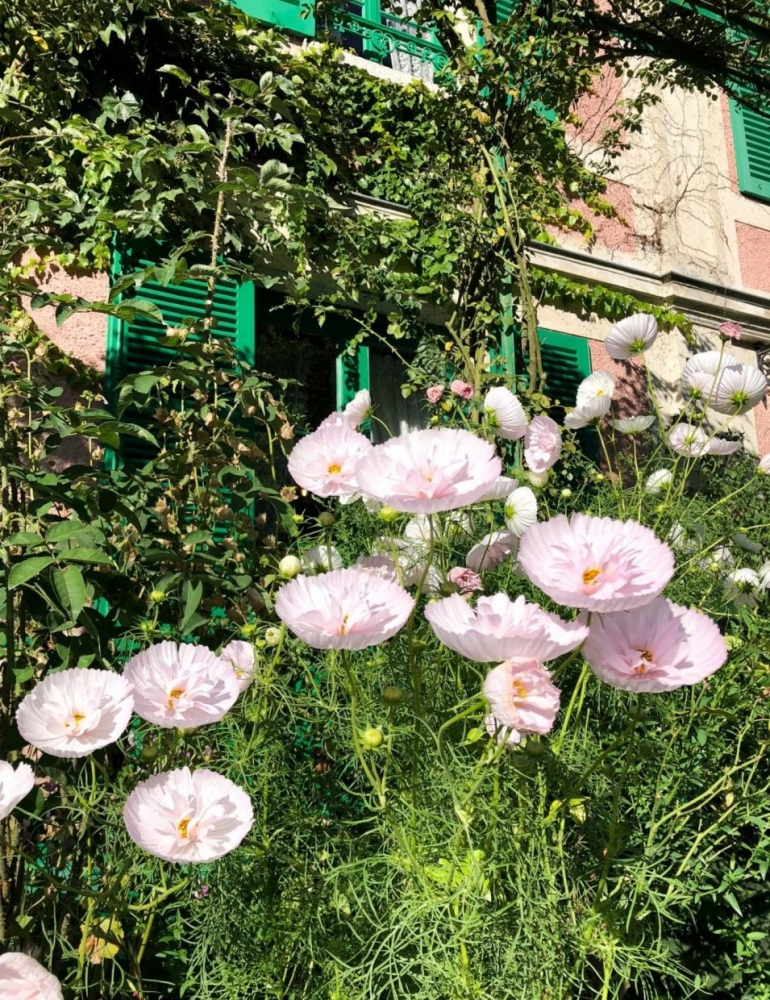Claude Monet's Gardens at Giverny